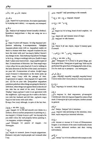 Dicionario arabe egipcio