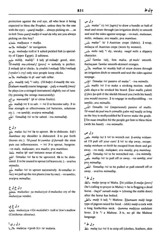 Dicionario arabe egipcio