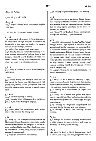 Dicionario arabe egipcio