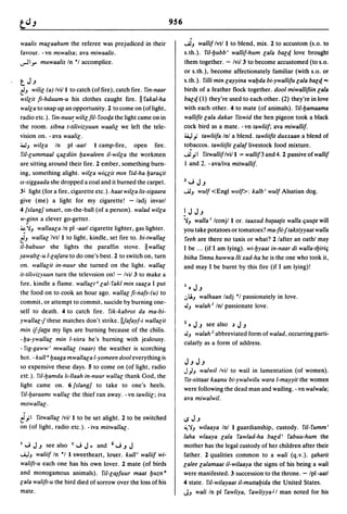 Dicionario arabe egipcio