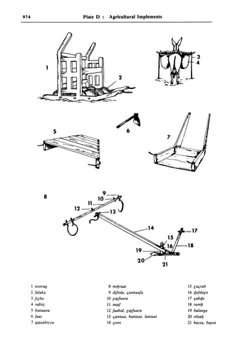 Dicionario arabe egipcio