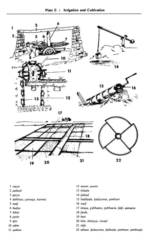 Dicionario arabe egipcio