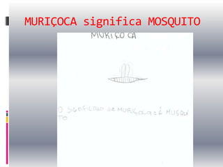 MURIÇOCA significa MOSQUITO
 