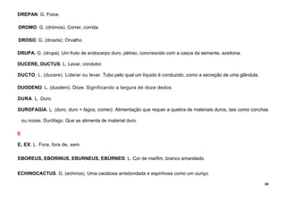 35
DREPAN. G. Foice.
DROMO. G. (drómos). Correr, corrida.
DROSO. G. (drosós). Orvalho.
DRUPA. G. (drupa). Um fruto de endocarpo duro, pétreo, concrescido com a casca da semente, azeitona.
DUCERE, DUCTUS. L. Levar, condutor.
DUCTO. L. (ducere). Liderar ou levar. Tubo pelo qual um líquido é conduzido, como a secreção de uma glândula.
DUODENO. L. (duodeni). Doze. Significando a largura de doze dedos.
DURA. L. Duro.
DUROFAGIA. L. (duro, duro + fagos, comer). Alimentação que requer a quebra de materiais duros, tais como conchas
ou nozes. Durófago. Que se alimenta de material duro.
E
E, EX. L. Fora, fora de, sem.
EBOREUS, EBORINUS, EBURNEUS, EBÚRNEO. L. Cor de marfim, branco amarelado.
ECHINOCACTUS. G. (echinos). Uma cactácea arredondada e espinhosa como um ouriço.
 