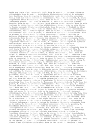 Dicionario frances alibert