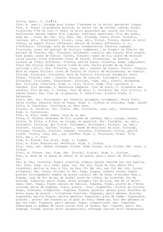 Dicionario frances alibert