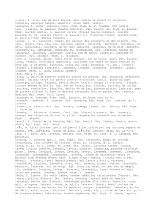 Dicionario frances alibert