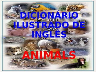DICIONÁRIO ILUSTRADO DE INGLÊS ANIMALS 