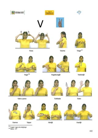 Dicionario libras cas_faders1 (1)