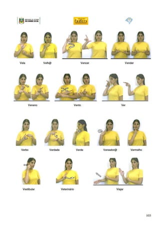 Dicionario libras cas_faders1 (1)