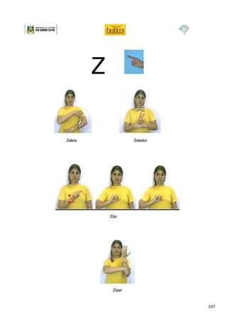 Dicionario libras cas_faders1 (1)