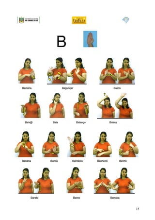 Dicionario libras cas_faders1 (1)