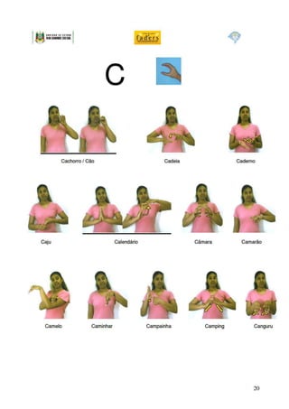 Dicionario libras cas_faders1 (1)