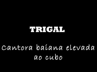 TRIGAL Cantora baiana elevada ao cubo 