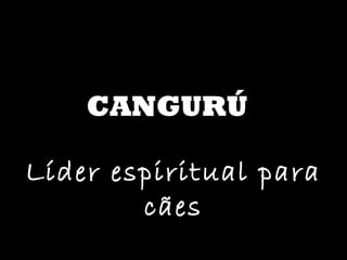 CANGURÚ Líder espiritual para cães 