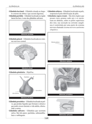 ○○○○○○○○○○○○○○○○○○○○○○○○○○○○○○○○○○○○○○○○○○○○○○○○○○○○○○○○○○○○○○○○○○○○○○○○○○○○○○○○○○○
Glândula lacrimal – Glândula situada no ângu-
lo externo da órbita e que secreta lágrimas.
Glândula parótida– Glândula localizada na região
lateral da face; é uma das glândulas salivares.
Glândula pineal – Glândula localizada no siste-
ma nervoso central.
GLÂNDULA GLÂNDULAS
Glândula sebácea
Glândula sebácea
Glândula parótida
Glândula pituitária
Hipotálamo
Lobo posterior
Lobo anterior
Glândula próstática
Glândula pineal
Glândulas salivares
Glândula pituitária – Hipófise.
Glândulaprostática –Glândulalocalizadanapel-
ve, que produz líquidos que formam o sêmen e
que pode crescer durante a vida adulta, obstru-
indo a uretra.
Glândulas salivares – Glândulas que secretam
saliva. São três pares: parótidas, submandibu-
lares e sublinguais.
Glândula sebácea – Glândula localizada na pele,
responsável pela lubrificação do pêlo.
Glândulas supra-renais – São dois órgãos que
pesam cinco gramas cada um e se encon-
tram no abdome, sobre os pólos superiores
dos rins; sua secreção na corrente sangüí-
nea é controlada por uma parte do sistema
nervoso chamada sistema nervoso autônomo
simpático.©
 