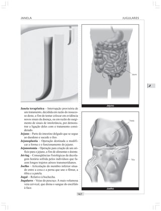 ○○○○○○○○○○○○○○○○○○○○○○○○○○○○○○○○○○○○○○○○○○○○○○○○○○○○○○○○○○○○○○○○○○○○○○○○○○○○○○○○○○○
J
Janela terapêutica – Interrupção provisória de
um tratamento, decidida em razão do insuces-
so deste, a fim de tentar colocar em evidência
novos sinais da doença, ou em razão do surgi-
mento de sinais de intolerância, por demons-
trar a ligação deles com o tratamento consi-
derado.
Jejuno – Parte do intestino delgado que se segue
ao duodeno e sucede o íleo.
Jejunoplastia – Operação destinada a modifi-
car a forma e o funcionamento do jejuno.
Jejunostomia – Operação para criação de um ori-
fício para o jejuno, a fim de alimentar o doente.
Jet-lag – Conseqüências fisiológicas da decola-
gem horária sofrida pelos indivíduos que fa-
zem longos trajetos aéreos transmeridianos.
Joelho – Articulação do membro inferior situa-
do entre a coxa e a perna que une o fêmur, a
tíbia e a patela.
Jugal – Relativo à bochecha.
Jugulares – Veias do pescoço. A mais volumosa
veia cervical, que drena o sangue do encéfalo
à face. Joelho
Jejuno
JANELA JUGULARES
Patela
Tíbia
Jejuno
 
