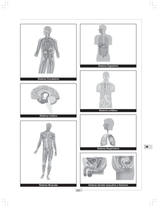 ○○○○○○○○○○○○○○○○○○○○○○○○○○○○○○○○○○○○○○○○○○○○○○○○○○○○○○○○○○○○○○○○○○○○○○○○○○○○○○○○○○○
S
Sistema Circulatório
Sistema Digestório
Sistema Muscular
Sistema Límbico
Sistema Linfático
Sistema Genital masculino e feminino
Sistema Respiratório
 