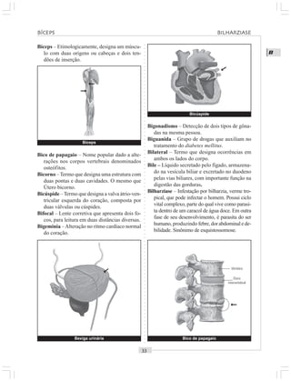 ○○○○○○○○○○○○○○○○○○○○○○○○○○○○○○○○○○○○○○○○○○○○○○○○○○○○○○○○○○○○○○○○○○○○○○○○○○○○○○○○○○○
B
Bíceps – Etimologicamente, designa um múscu-
lo com duas origens ou cabeças e dois ten-
dões de inserção.
Bigonadismo – Detecção de dois tipos de gôna-
das na mesma pessoa.
Biguanida – Grupo de drogas que auxiliam no
tratamento do diabetes mellitus.
Bilateral – Termo que designa ocorrências em
ambos os lados do corpo.
Bile – Líquido secretado pelo fígado, armazena-
do na vesícula biliar e excretado no duodeno
pelas vias biliares, com importante função na
digestão das gorduras.
Bilharziase – Infestação por bilharzia, verme tro-
pical, que pode infectar o homem. Possui ciclo
vital complexo, parte do qual vive como parasi-
ta dentro de um caracol de água doce. Em outra
fase de seu desenvolvimento, é parasita do ser
humano, produzindo febre,dorabdominalede-
bilidade. Sinônimo de esquistossomose.
Bico de papagaio – Nome popular dado a alte-
rações nos corpos vertebrais denominados
osteófitos.
Bicorno –Termo que designa uma estrutura com
duas pontas e duas cavidades. O mesmo que
Útero bicorno.
Bicúspide –Termo que designa a valva átrio-ven-
tricular esquerda do coração, composta por
duas válvulas ou cúspides.
Bifocal – Lente corretiva que apresenta dois fo-
cos, para leitura em duas distâncias diversas.
Bigeminia –Alteração no ritmo cardíaco normal
do coração.
Bexiga urinária
©
Bico de papagaio
Vértebra
Disco
intervertebral
Bicúspide
Bíceps
BÍCEPS BILHARZIASE
©
©
©
©
 