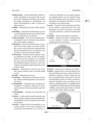 ○○○○○○○○○○○○○○○○○○○○○○○○○○○○○○○○○○○○○○○○○○○○○○○○○○○○○○○○○○○○○○○○○○○○○○○○○○○○○○○○○○○
C
Células-tronco – Célula embrionária, indiferen-
ciada, primordial ou de origem. São as mais
jovens das linhagens formadoras das células
do sangue; encontram-se, normalmente, em
órgãos hematopoiéticos onde se renovam e
diferenciam-se.
Celulite – Inflamação do tecido celular subcutâ-
neo.
Centrífuga – Instrumento de laboratório que ser-
ve para separação da partículas sólidas manti-
das em suspensão em um líquido.
Centro cirúrgico – Parte de um estabelecimen-
to hospitalar onde se localizam salas destina-
das a intervenções cirúrgicas.
Centrômero – Parte do cromossomo que, no mo-
mento da divisão celular, une duas cromáti-
des, ou seja, os dois elementos originados pela
divisão longitudinal desse cromossomo, que
formarão os dois cromossomos filhos.
Centrossomo – Nódulo existente, algumas vezes,
no citoplasma da célula, ao lado do núcleo.
Contém um ou dois centríolos e é circundado
por uma massa de protoplasma de onde par-
tem filamentos dispostos em raros, o áster. Esse
conjunto desempenha papel importante na di-
visão da célula.
Cenurose – Infestação por larvas de um cestó-
deo, a Taenia multiceps, que vive na fase adulta
no cão.
Ceratite – Inflamação da córnea.
Ceratocone – Alteração da curvatura da córnea,
que, embora ainda transparente, toma uma for-
ma cônica.
Ceratodermia – Dermatose quer congênita ou
hereditária, secundária à infecção ou intoxi-
cação por uma outra doença da pele, quer pri-
mitiva.
Ceratomegalia – Aumento das dimensões da
córnea.
Ceratose – Lesão da pele caracterizada por uma
hipertrofia das camadas córneas da epiderme,
acompanhada ou não de hipertrofia das papi-
las da derme.
Cercária – Estágio final dos trematódeos. Livre
e móvel, graças à sua cauda, abandona seu
hospedeiro intermediário, um molusco, e
encista na superfície de um vegetal aquátio,
em seguida, penetra em um segundo hospe-
deiro intermediário, peixe ou crustáceo, ou di-
retamente no hospedeiro definitivo. A forma
encistada é uma metacercária.
Cereais – O amido é fonte importante de hidra-
tos de carbono, responsável pelo alto valor
energético do cereal. A proteína se encontra
no núcleo amiláceo e é pobre em aminoácido
lisina.
Cerebelar – Termo relacionado ao cerebelo.
Cerebelo – Órgão do encéfalo situado próximo
ao osso occipital. Controla o equilíbrio e a
coordenação dos movimentos.
Cerebral – Termo que se relaciona ao cérebro.
Cérebro – Região maior e mais elevada do encé-
falo, dividida por um sulco central em dois he-
misférios, esquerdo e direito, sendo que am-
bos se comunicam pelo corpo caloso. Cada um
dos hemisférios possui um córtex cerebral ex-
terno de substância cinza, que abriga, em seu
interior, a substância branca e os gânglios basais.
Asuperfíciedocérebroapresentacircunvoluções
e lóbulos, cada um dos quais recebe o nome do
osso do crânio sobre o qual se encontra.
Cerebelo
Cérebro
(Telencéfalo)
Cerebelo
Cérebro
Medula oblonga
Cérebro
CÉLULAS CÉREBRO
 