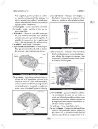 ○○○○○○○○○○○○○○○○○○○○○○○○○○○○○○○○○○○○○○○○○○○○○○○○○○○○○○○○○○○○○○○○○○○○○○○○○○○○○○○○○○○
C
Pode ser global, quando o produto de contras-
te é injetado acima das válvulas aórticas, ou
seletiva, quando esse produto é enviado dire-
tamente para cada uma das artérias coronárias
cujo orifício foi cateterizado.
Coronariopatia – Doença das artérias coronárias.
Coronários (vasos) – Artérias e veias que nu-
trem o miocárdio.
Coronavírus – Gênero de vírusARN monocate-
nar, com simetria helicoidal, cujo envelope
apresenta uma coroa que lembra as pétalas de
uma flor. Os coronavírus são os agentes das
rinites e das rinofaringites dos adultos jovens.
Coronóide – Semelhante a uma coroa.
Corpoamarelo(oucorpolúteo)–Substânciaglan-
dular que se forma no local de onde se despren-
deu um óvulo e que produz a progesterona.
Corpo cavernoso – Formação erétil do pênis e
do clitóris. Órgãos pares e simétricos. Eles
unem-se e apóiam-se sobre a linha mediana.
Corpo esponjoso – Formação erétil e mediana
do pênis embainhando a uretra, alojada na go-
teira inferior dos corpos cavernosos e cujas
extremidades dilatadas formam adiante a glan-
de e atrás o bulbo do pênis.
Corpo caloso – Importante comissura transver-
sal que une os 2 hemisférios cerebrais. Está
situado no fundo da cisura inter-hemisférica,
acima dos ventrículos laterais, e comporta uma
extremidade anterior encurvada ou joelho, um
tronco e uma extremidade posterior dilatada.
Corpo estranho – Qualquer objeto ou substân-
cia normalmente presente em um órgão ou
tecido que habitualmente não o contêm, como
pó no interior dos olhos, alimento no interior
da traquéia ou uma substância nutritiva no in-
terior do sistema digestório.
Corpo lúteo – Corpo amarelo do ovário.
Corpos cetônicos – Produtos de degradação das
gorduras. São produzidos quando, no interior
das células, não há glicose suficiente para ser
utilizada como fonte de energia; então se re-
Corpo amarelo (ou corpo lúteo)
Folículo
primário
Ovário
Antro
Ovócito
Óvulo
Corpo caloso
Corpo caloso
Cerebelo
Bulbo
Ponte
Corpo cavernoso
Corpo cavernoso
Corpo esponjoso
Uretra peniana
Corpo esponjoso
Próstata
Corpo
cavernoso
Testículo
Ducto deferente
reto
Bexiga
urinária
Corpo
esponjoso
CORONARIOPATIA CORPOS
 