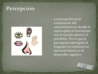  La percepción es un
  componente del
  conocimiento en donde el
  sujeto aplica el interactuar
  con el mundo objetivo al
  percibirlo. Por lo que la
  percepción está ligada al
  lenguaje y es entonces un
  elemento básico en el
  desarrollo cognitivo
 