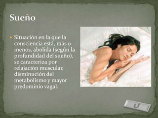  Situación en la que la
  consciencia está, más o
  menos, abolida (según la
  profundidad del sueño),
  se caracteriza por
  relajación muscular,
  disminución del
  metabolismo y mayor
  predominio vagal.
 