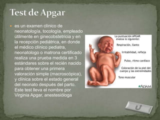  es un examen clínico de
  neonatología, tocología, empleado
  útilmente en ginecobstetricia y en
  la recepción pediátrica, en donde
  el médico clínico pediatra,
  neonatologo o matrona certificado
  realiza una prueba medida en 3
  estándares sobre el recién nacido
  para obtener una primera
  valoración simple (macroscópica),
  y clínica sobre el estado general
  del neonato después del parto.
  Este test lleva el nombre por
  Virginia Apgar, anestesióloga
 