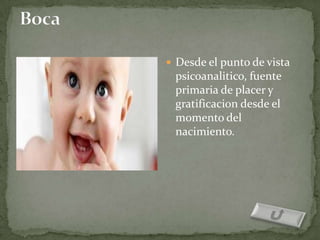  Desde el punto de vista
 psicoanalitico, fuente
 primaria de placer y
 gratificacion desde el
 momento del
 nacimiento.
 