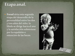  Freud sitúa esta segunda
  etapa del desarrollo de la
  personalidad entre los dos
  y tres años del niño; la
  libido se dirige hacia el ano
  y la satisfacción sobreviene
  por la expulsión o
  retención de las heces.
 