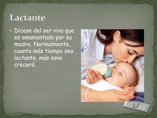  Dícese del ser vivo que
 es amamantado por su
 madre. Normalmente,
 cuanto más tiempo sea
 lactante, más sano
 crecerá.
 