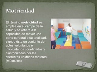 El término motricidad se
emplea en el campo de la
salud y se refiere a la
capacidad de mover una
parte corporal o su totalidad,
siendo éste un conjunto de
actos voluntarios e
involuntarios coordinados y
sincronizados por las
diferentes unidades motoras
(músculos)
 