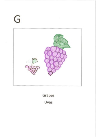 English - Portuguese Dictionary