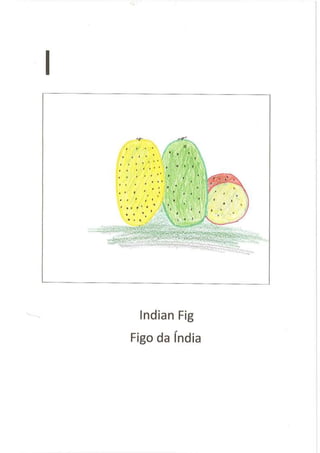 English - Portuguese Dictionary