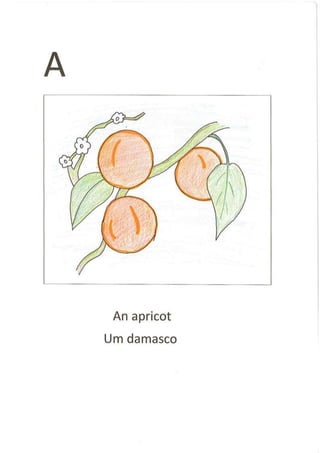 English - Portuguese Dictionary