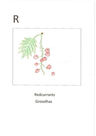 English - Portuguese Dictionary