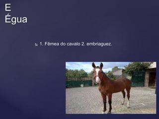  1. Fêmea do cavalo 2. embriaguez.
E
Égua
 