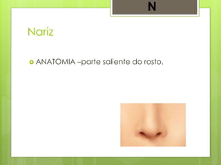 Nariz
 ANATOMIA –parte saliente do rosto.
N
 