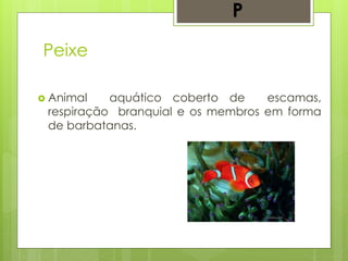 Peixe
 Animal aquático coberto de escamas,
respiração branquial e os membros em forma
de barbatanas.
P
 
