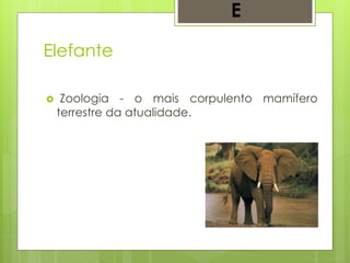 Elefante
 Zoologia - o mais corpulento mamífero
terrestre da atualidade.
E
 