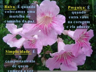 Raiva:  É quando colocamos uma muralha no caminho da paz. Preguiça:  É quando entra vírus na coragem e ela adoece. Simplicidade:  É o comportamento de quem começa a ser sábio. 