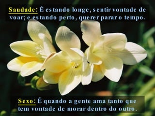 Sexo:  É quando a gente ama tanto que tem vontade de morar dentro do outro. Saudade:  É estando longe, sentir vontade de voar; e estando perto, querer parar o tempo. 