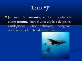 Letra “J”
   Jamanta: A jamanta, também conhecida
    como manta, (nos é uma espécie de peixes
    cartilagíneos Chondrichthyes) pelágicos,
    oceânicos da família Myliobathidae.
 