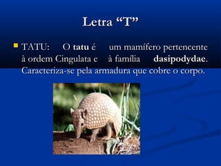 Letra “T”
   TATU: O tatu é um mamífero pertencente
    à ordem Cingulata e à família  dasipodydae.
    Caracteriza-se pela armadura que cobre o corpo.
 