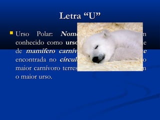 Letra “U”
   Urso Polar: Nome científico, também
    conhecido como urso-branco, é uma espécie
    de mamífero carnívoro da família Ursidae
    encontrada no círculo polar Ártico. Ele é o
    maior carnívoro terrestre conhecido e também
    o maior urso.
 