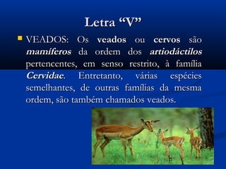 Letra “V”
   VEADOS: Os veados ou cervos são
    mamíferos da ordem dos artiodáctilos
    pertencentes, em senso restrito, à família
    Cervidae. Entretanto, várias espécies
    semelhantes, de outras famílias da mesma
    ordem, são também chamados veados.
 