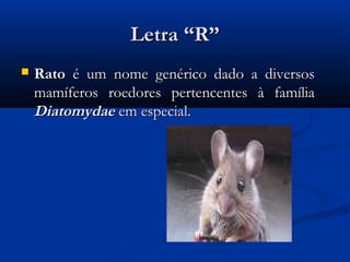Letra “R”
   Rato é um nome genérico dado a diversos
    mamíferos roedores pertencentes à família
    Diatomydae em especial.
 