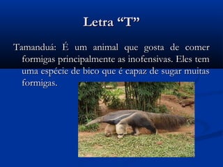 Letra “T”
Tamanduá: É um animal que gosta de comer
  formigas principalmente as inofensivas. Eles tem
  uma espécie de bico que é capaz de sugar muitas
  formigas.
 
