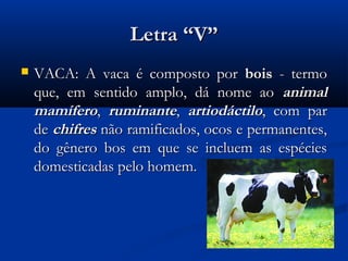 Letra “V”
   VACA: A vaca é composto por bois - termo
    que, em sentido amplo, dá nome ao animal
    mamífero, ruminante, artiodáctilo, com par
    de chifres não ramificados, ocos e permanentes,
    do gênero bos em que se incluem as espécies
    domesticadas pelo homem.
 