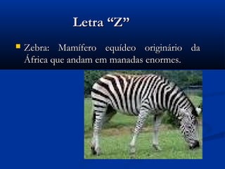 Letra “Z”
   Zebra: Mamífero equídeo originário da
    África que andam em manadas enormes.
 